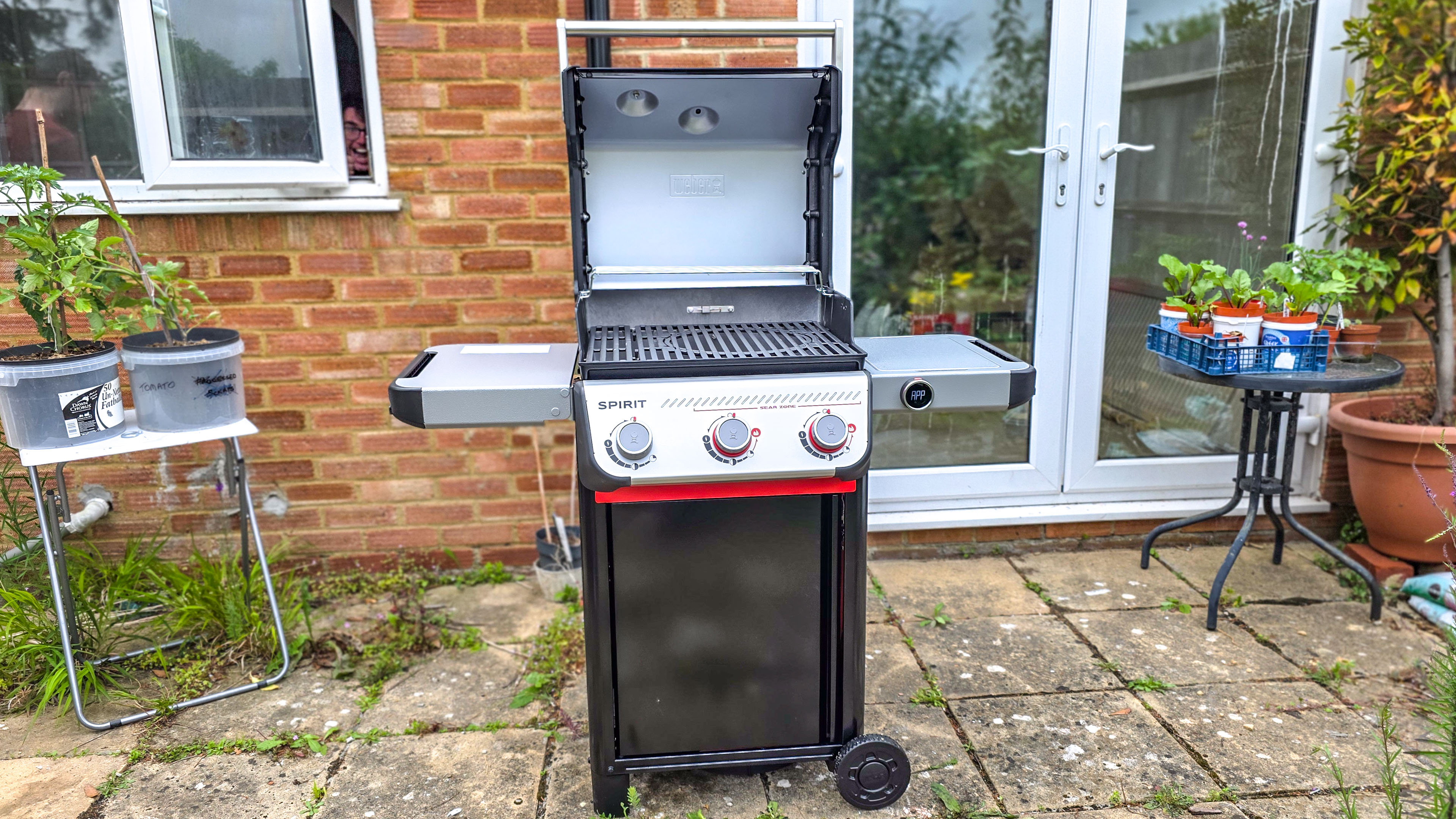 Weber Spirit EX325  grilling foods