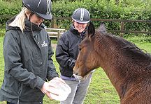 Ben-orphanedfoal.jpg