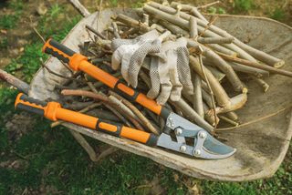 Loppers and branches, scissors for springtime garden work
