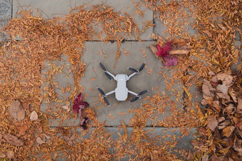 DJI Mavic Mini top-down