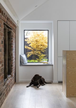 picture window in white modern kitchen design