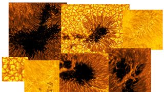 A mosaic showing sunspots and other features on the surface of the sun.