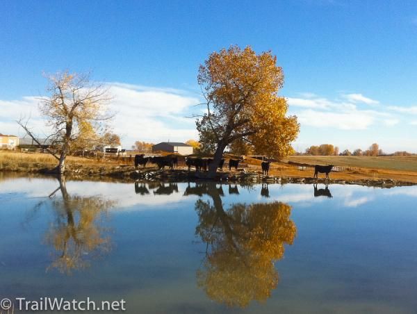 Autumn in Boulder.