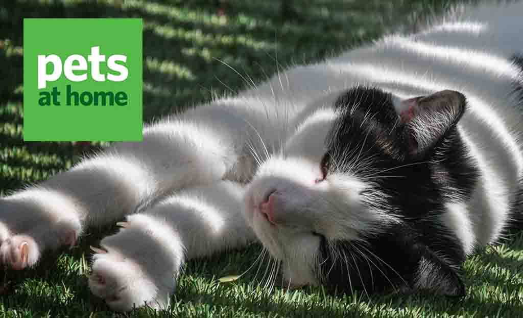 Pets at home logo in the top left with a black and white cat stretching laying down in the sun 