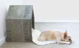 Home for a dog made of cement