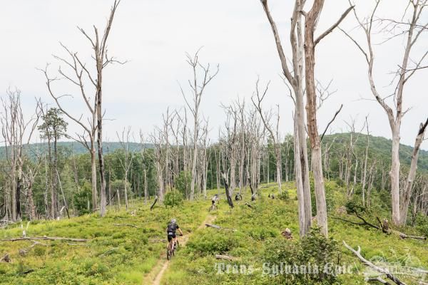 A forest fire left Tussey Ridge with views all around