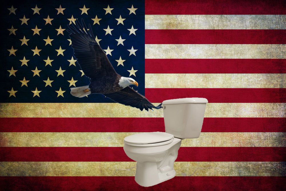 If America engaged in a mass toilet flush, minor mishaps would occur.