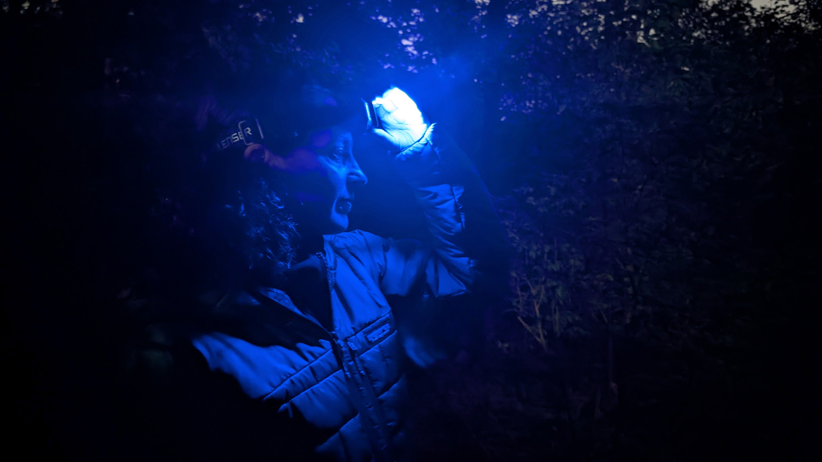 Ledlenser HF7R Signature RGB Rechargeable Head Torch review
