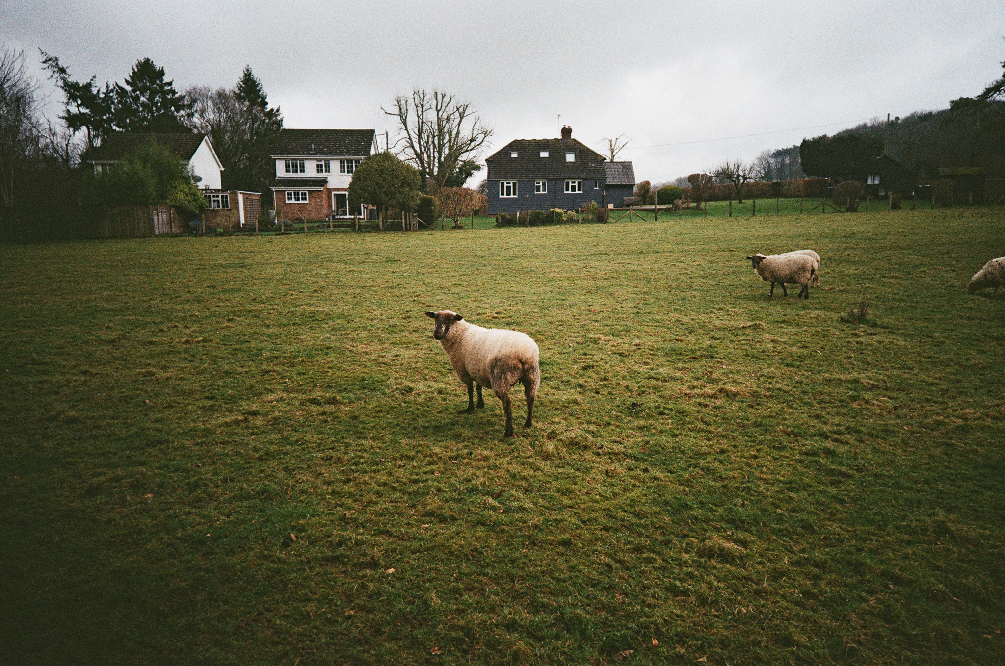 Kodak Snapic A1 sample photo