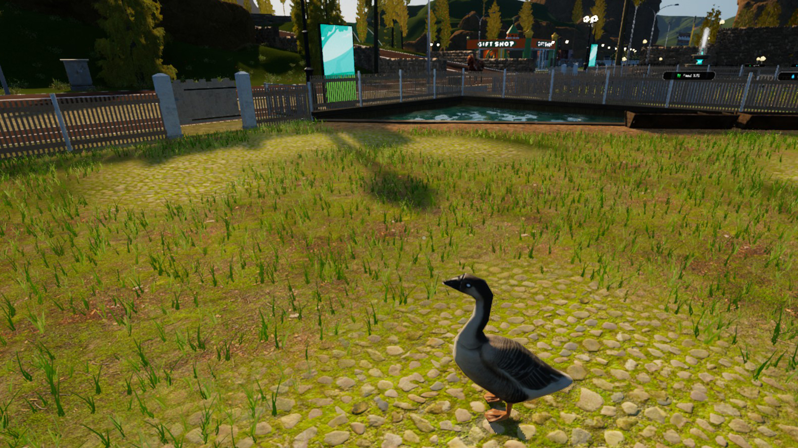 Animals and guests at a zoo