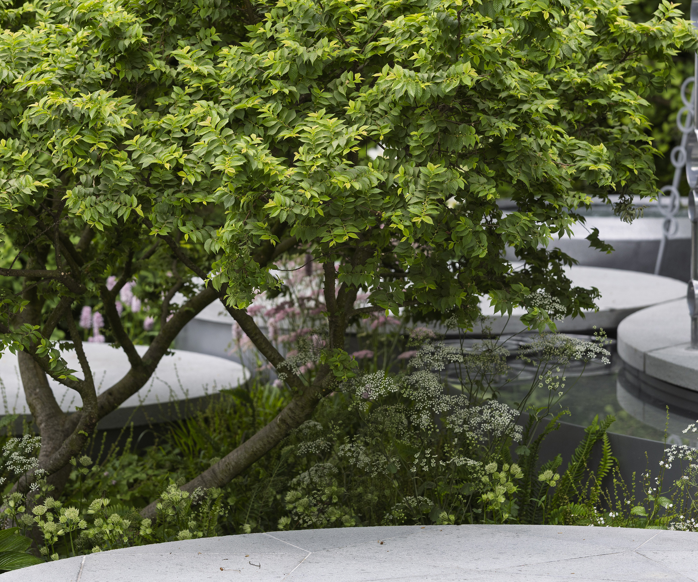 Boodles Raindance Garden. Designed by Dr Catherine MacDonald. Small Show Garden. RHS Chelsea Flower Show 2025
