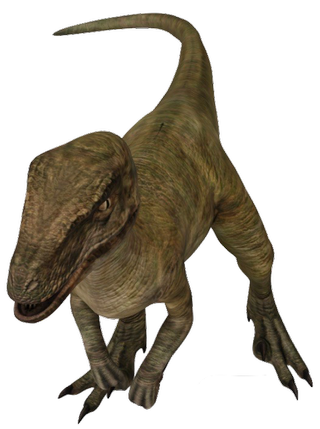Velociraptor Google Search 3D model