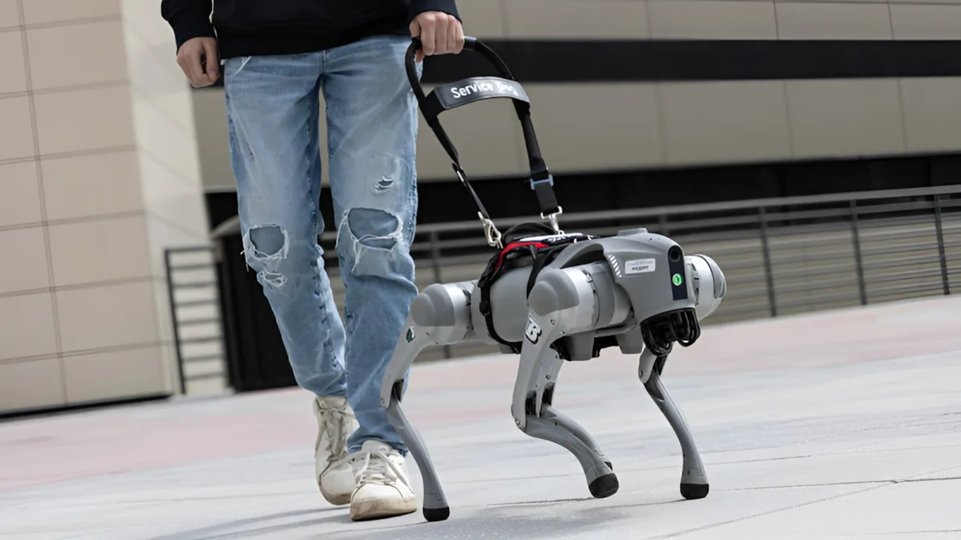 AI robot guide dog