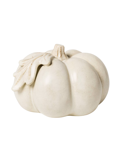 Small Botanical Ceramic Pumpkin - Threshold designed w/Studio McGee