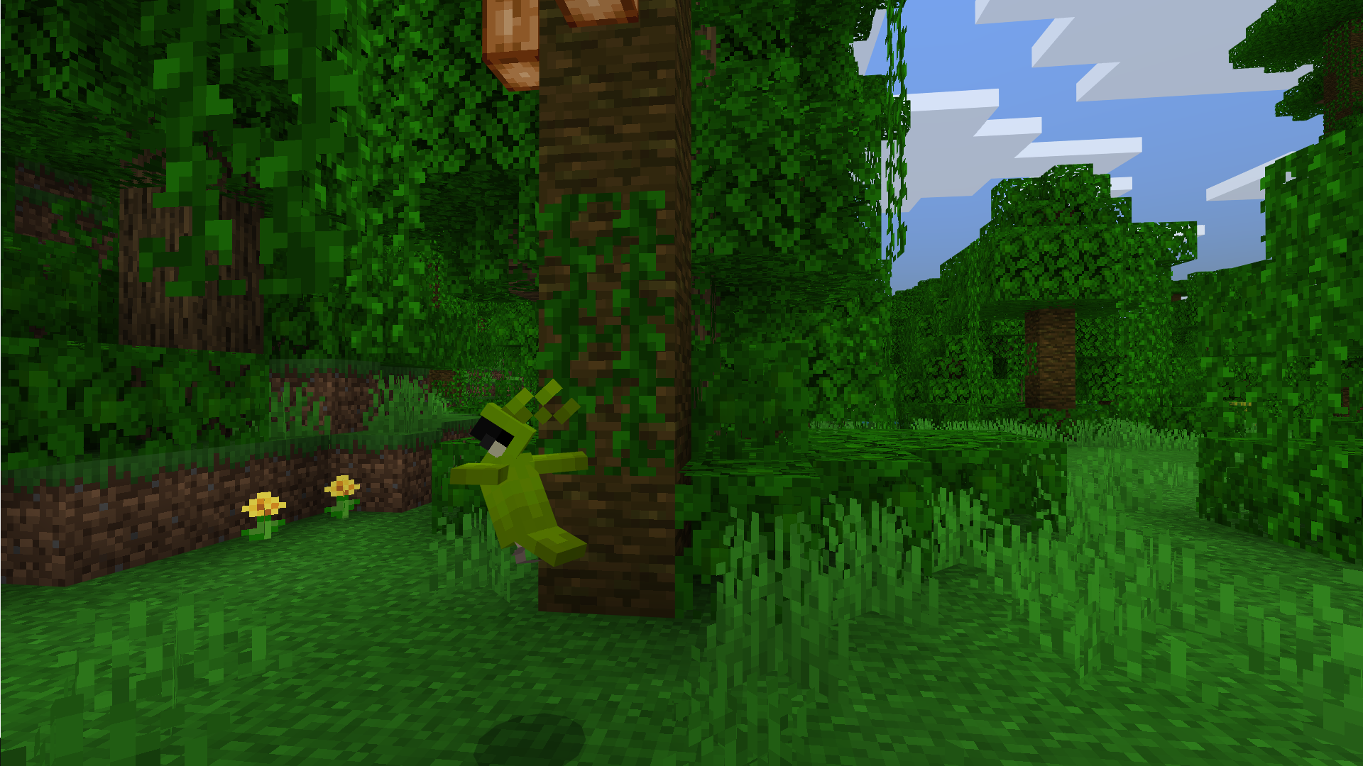 Best Minecraft Seeds