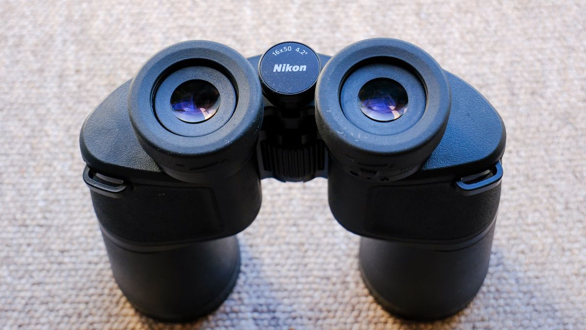 The Nikon Action 16x50 binoculars stood up on a brown carpet.