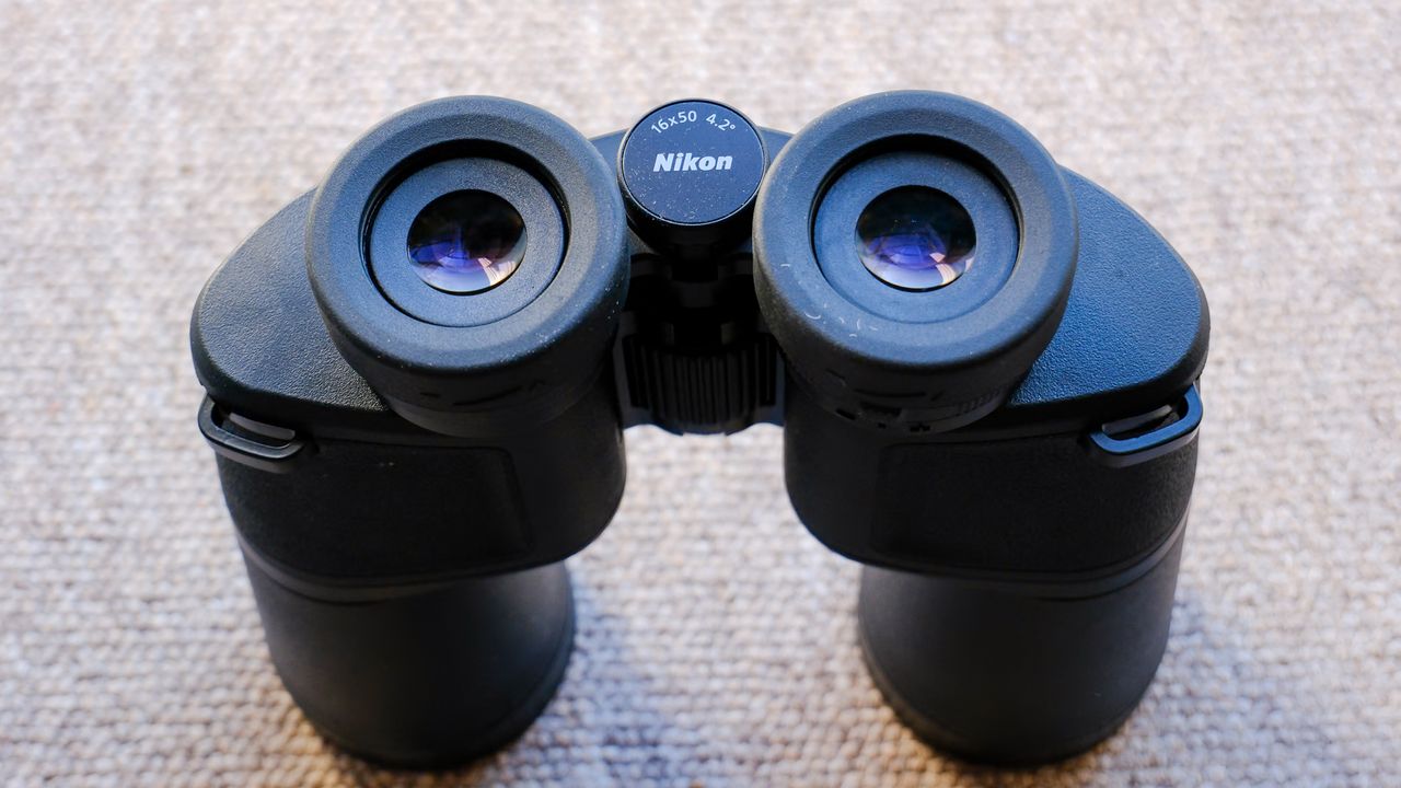 The Nikon Action 16x50 binoculars stood up on a brown carpet.