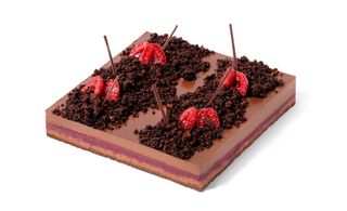 Raspberry chocolate tart