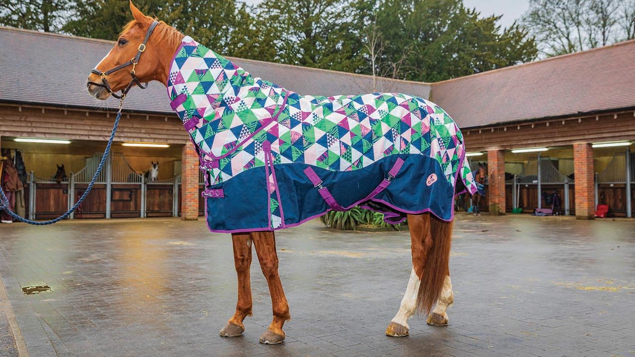 Ponyo 100g turnout rug review