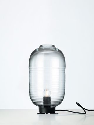 Long oval glass case around light bulb