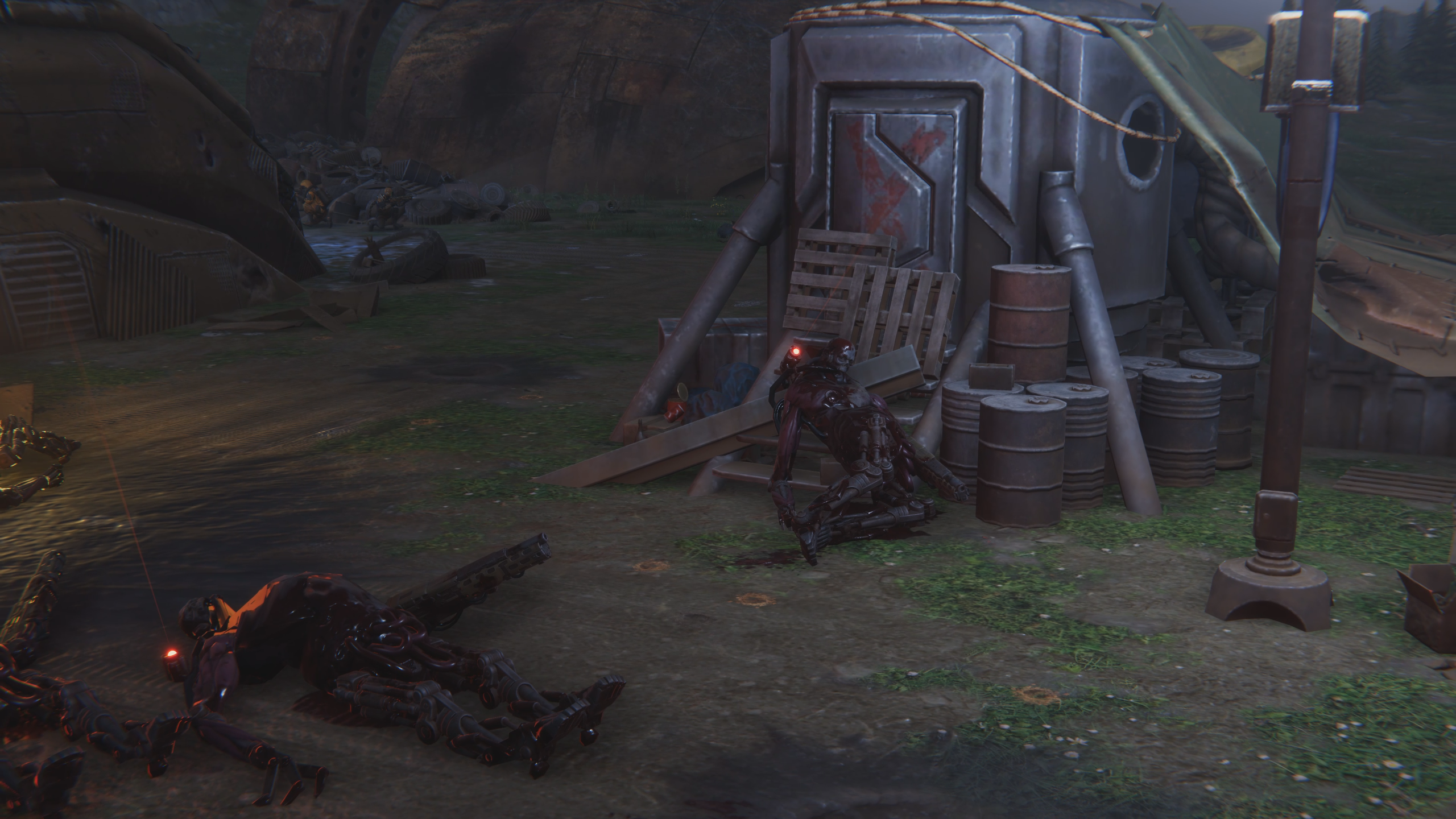 Charred corpses after a battle.