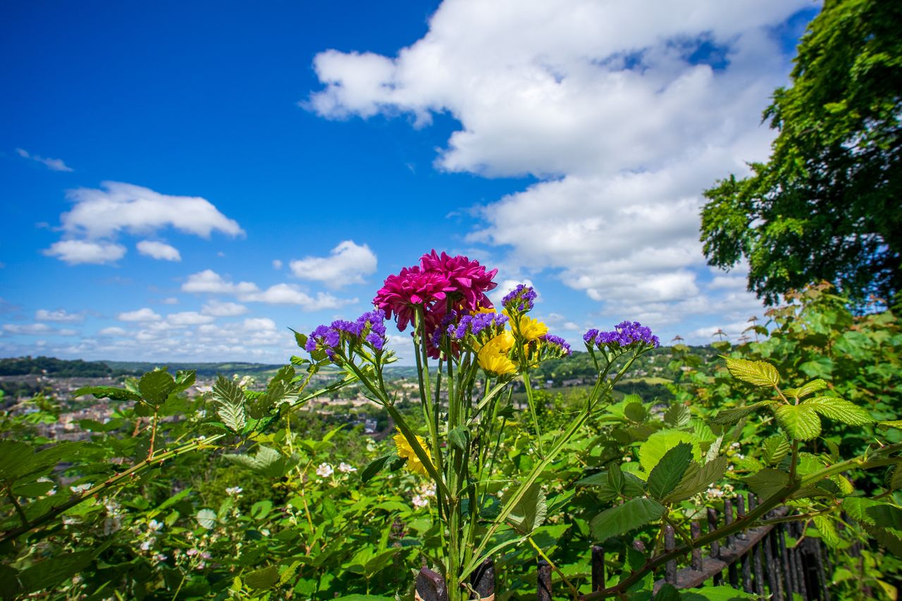 Yongnuo YN11mm F1.8S DA DSM WL