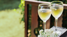 A couple glasses of wine placed on an outdoor ledge with greenery in the background