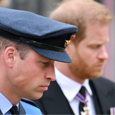 rince William, Prince of Wales and Prince Harry, Duke of Sussex during the State Funeral of Queen Elizabeth II at Westminster Abbey on September 19, 2022 in London