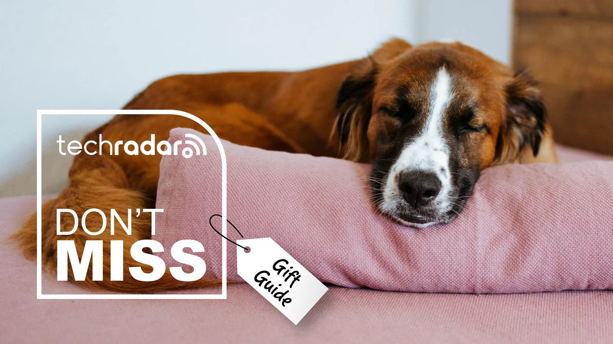۳ تخت حیوان خانگی مورد تایید سگ ها برای نوازش سگ شما در این فصل تعطیلات