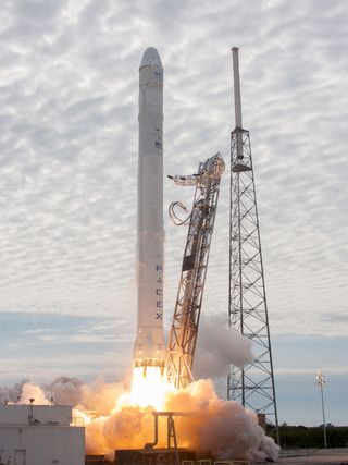 Falcon 9 SpaceX CRS-2 Launch
