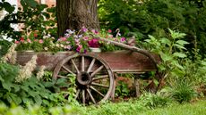 vintage wooden wagon in a country garden