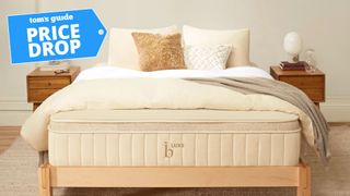 The Birch Natural Luxe mattress on a wooden bed frame with lots of blankets and pillows on top and a Tom's Guide blue label that says 'Price Drop'