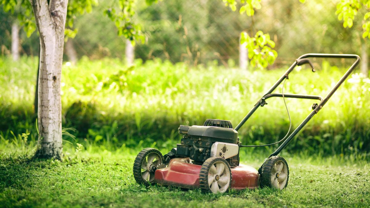 Here's How Often You Should Actually Mow Your Lawn in August – Cutting Too Much (or Not Enough) Can Create Problems in Fall