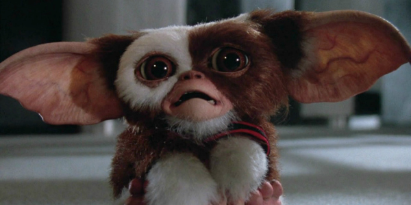 Joe Dante And Gremlins Series Producers Talk Whether They Want To See Gizmo In Live-Action Again, And They Make Some Great Points