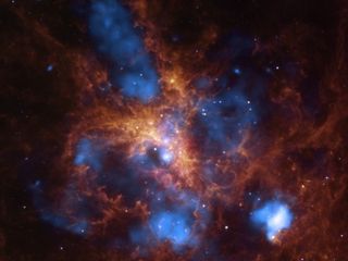 The Tarantula Nebula's gases in blue and orange.