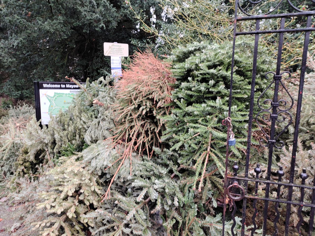 ZTE Axon 20 5G camera samples