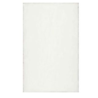 white shag rug on a white background