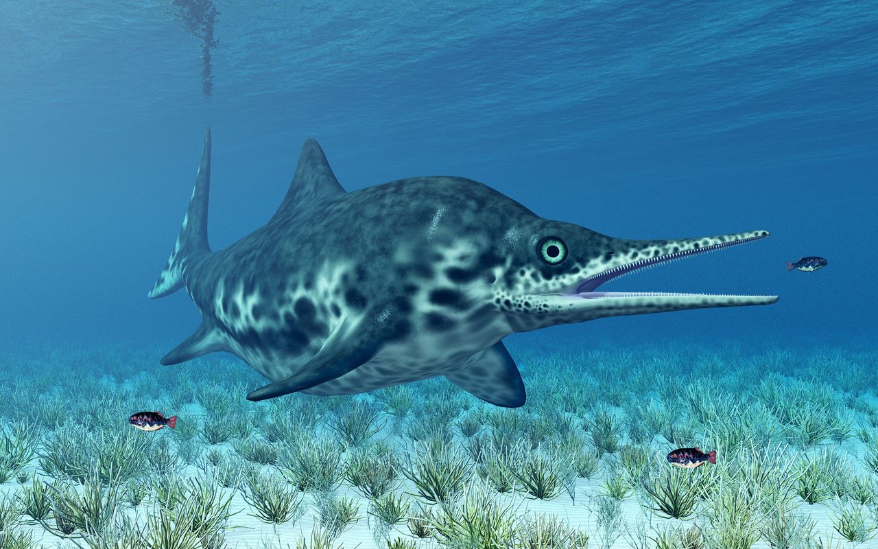 An illustration of Shonisaurus, another type of ichthyosaur that also lived during the Triassic period in what is now Nevada.