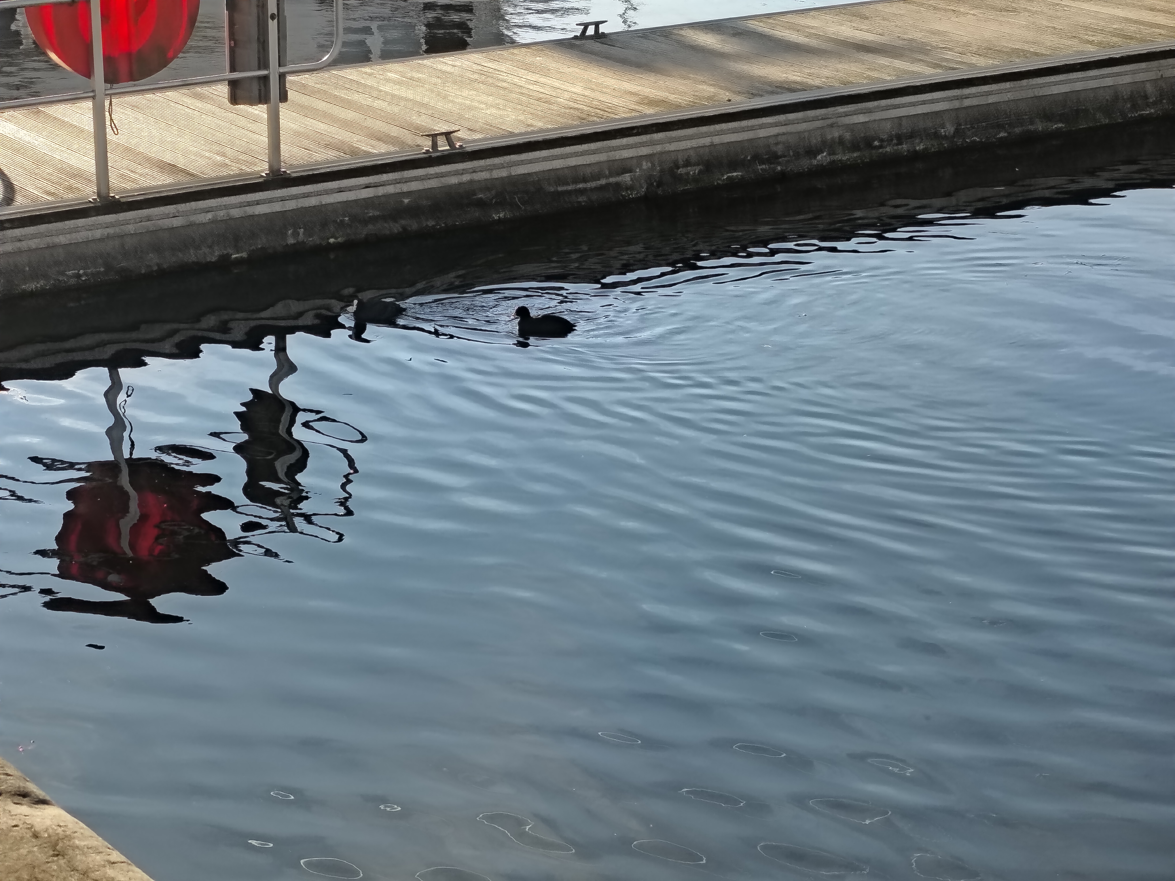 Redmi Note 15 Pro Plus voorbeeldfoto