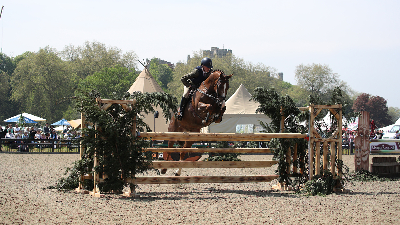 Royal Windsor working hunter pony championship,