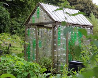 DIY greenhouse made from plastic bottles