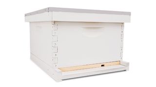 Mann Lake Ltd. 10-frame hive kit