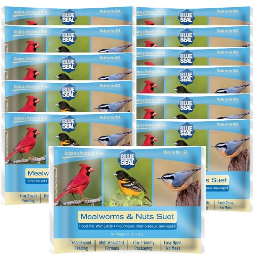 Blue Seal Mealworms &amp;amp; Nuts Suet Cakes for Wild Birds - No Mess Suet Feed, Food for Woodpeckers, Cardinals, Siskins, Sparrows &amp;amp; More - 11oz Suet Feeder, Bird Seed Cakes (pack of 12)