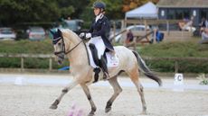 spotty dressage horse