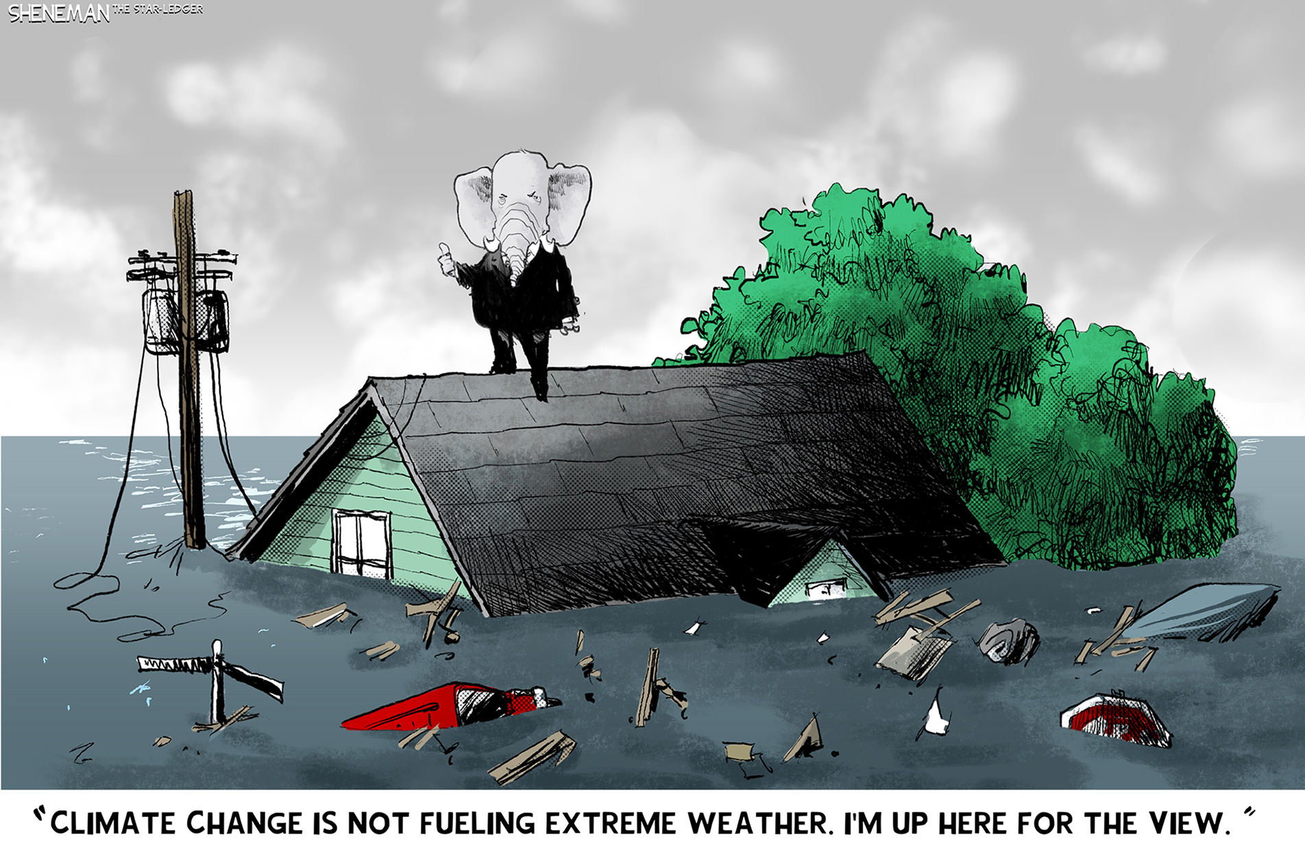 Political Cartoon