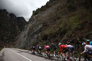 The pack of riders cycles during the 7th stage of the Paris-Nice cycling race, 109,3 km between Nice and Auron, on March 15, 2025. (Photo by Anne-Christine POUJOULAT / AFP)