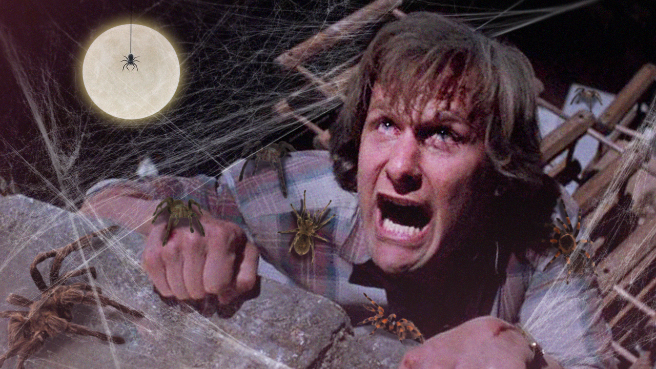 Arachnophobia Is Getting A Remake And It Has Some Major Horror Talent Behind It Cinemablend 7880