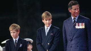 Prince Harry, Prince William and King Charles attend the parade commemorating VJ Day