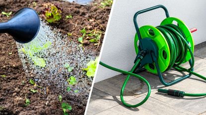 composite of watering can watering garden and extendable hose wrapped in garden