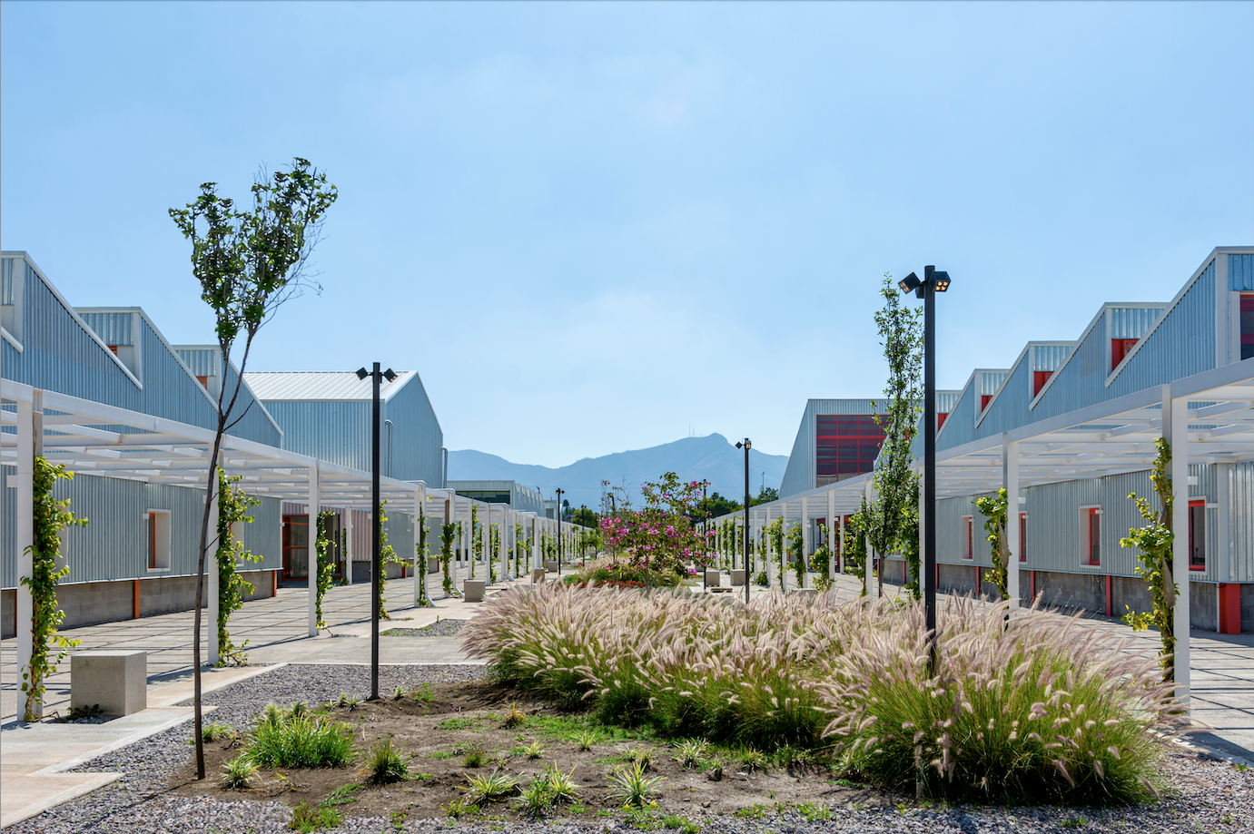 &Aacute;gora Biblioteca Elena Poniatowska, Tultitl&aacute;n by Office of Urban Resilience